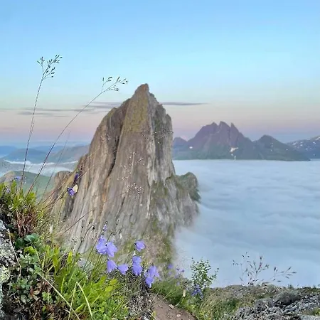 Rigmorhuset Fjordgard